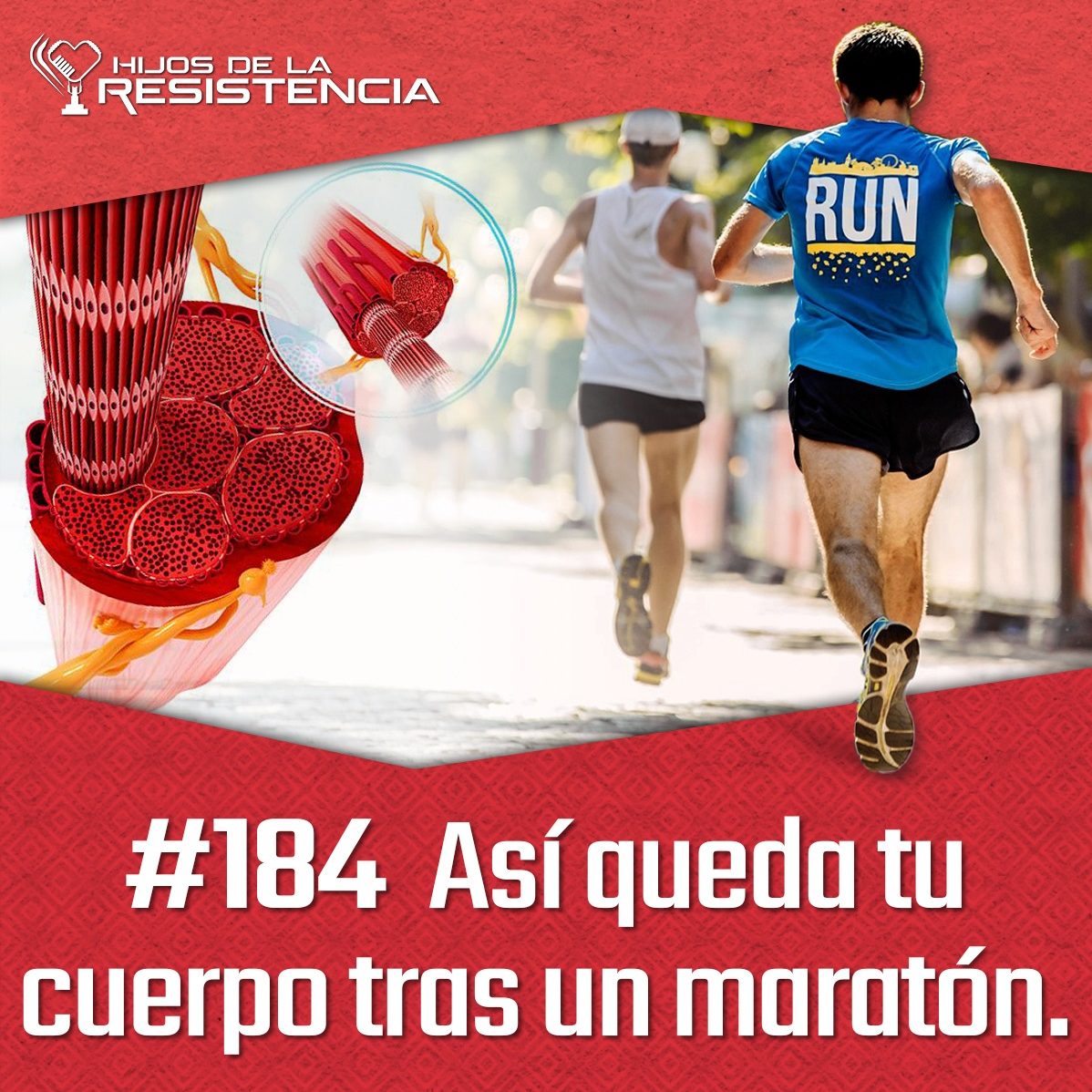 ¿qué Le Pasa A Tu Cuerpo Cuando Corres Un Maratón